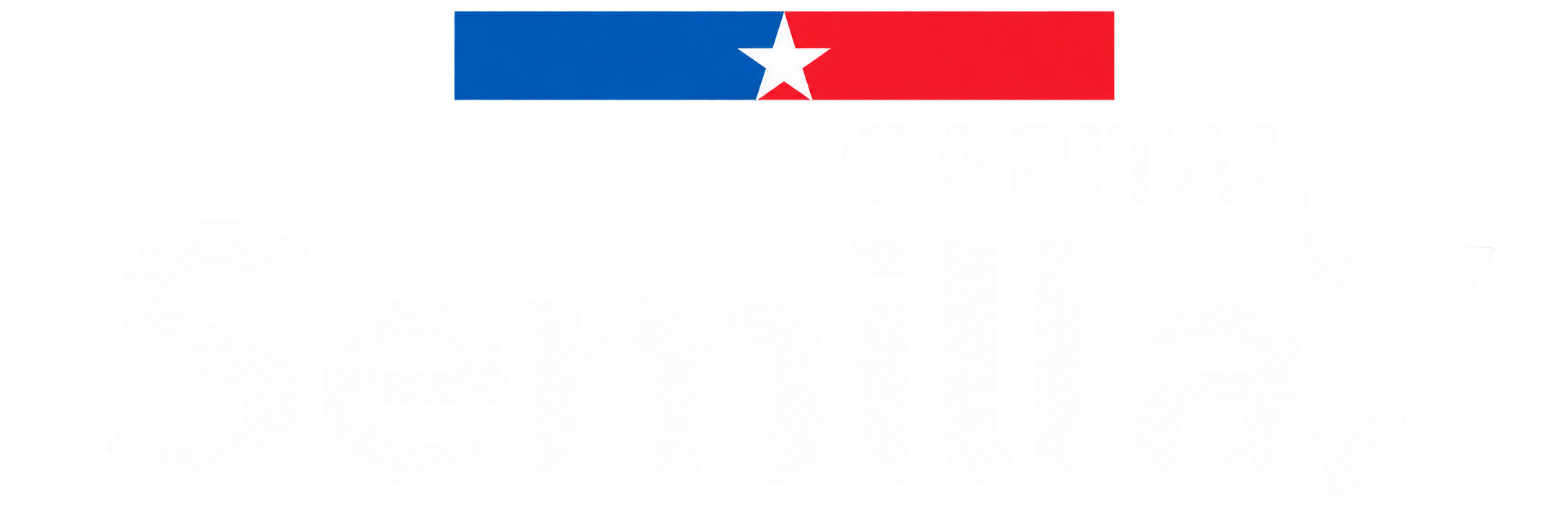 Capital Semilla
